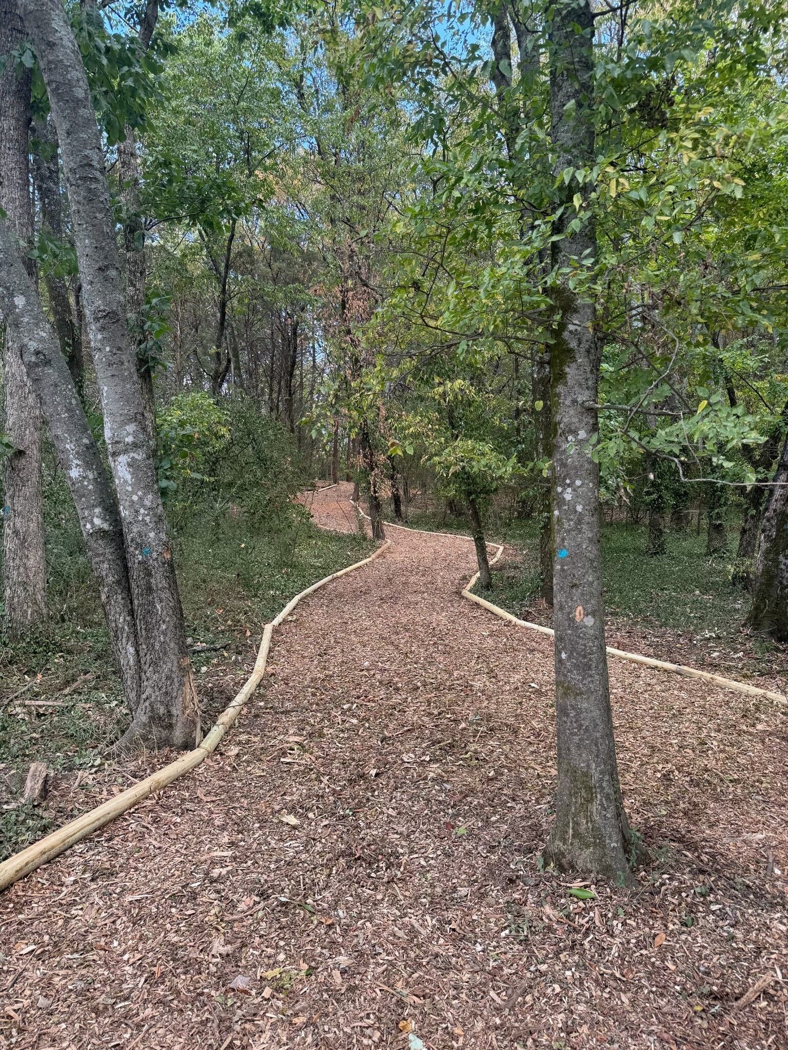 Property Photo: 1204 Valerie Lane 75 TN 37211