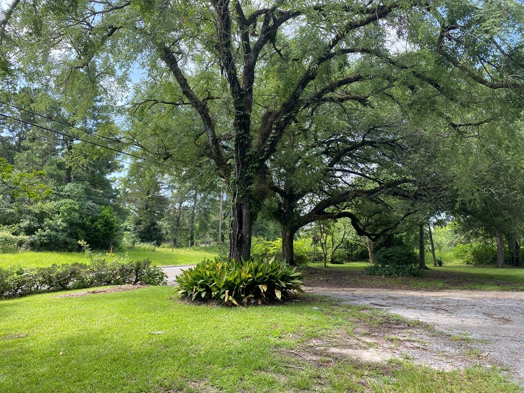 Property Photo: 459 N Main St TX 75845