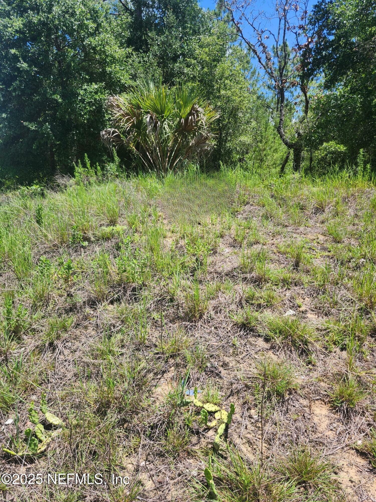 Property Photo: 0 Keuka Road FL 32148