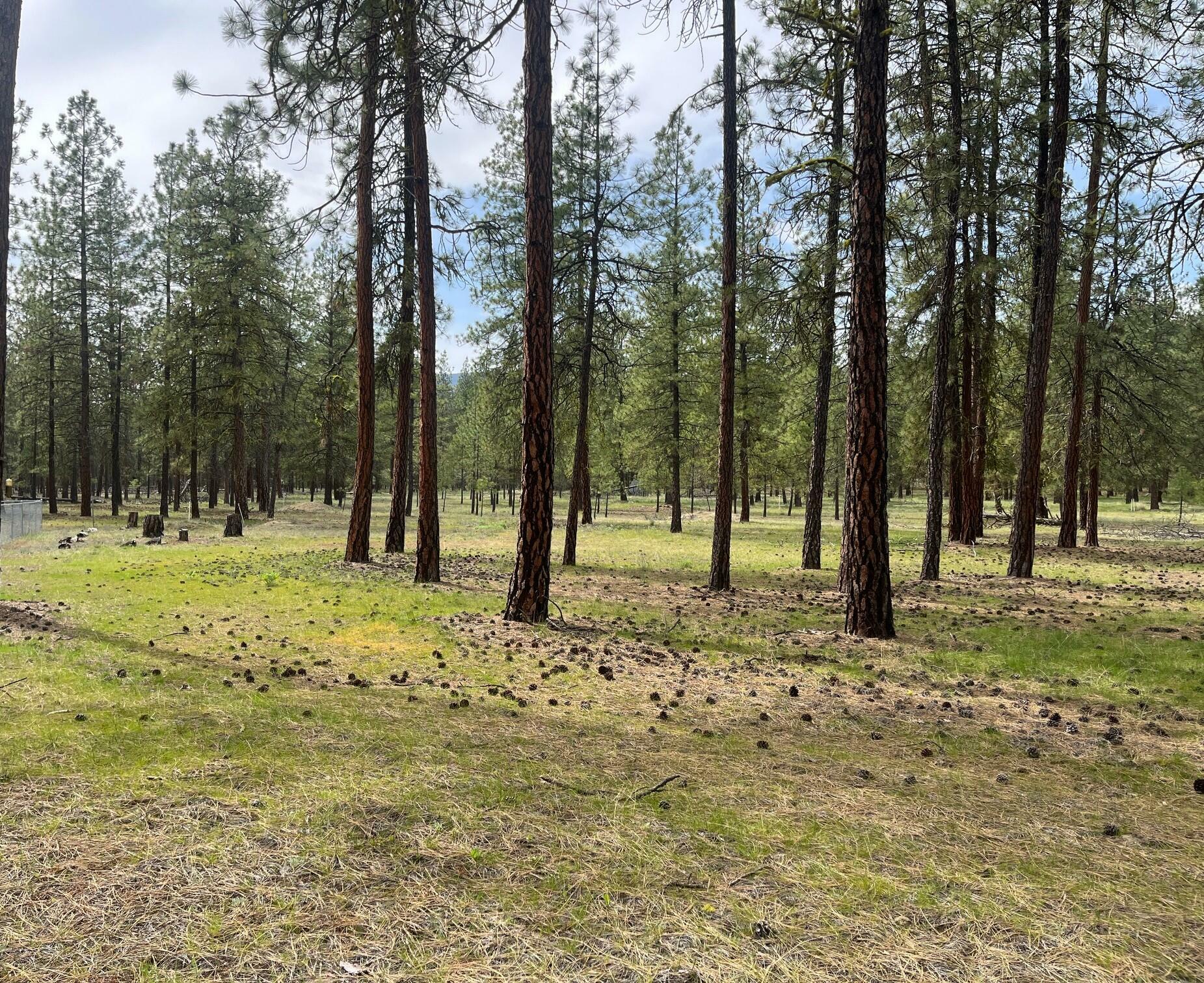 Property Photo:  Tbd Lot 1 Denton Dr  WA 99141 