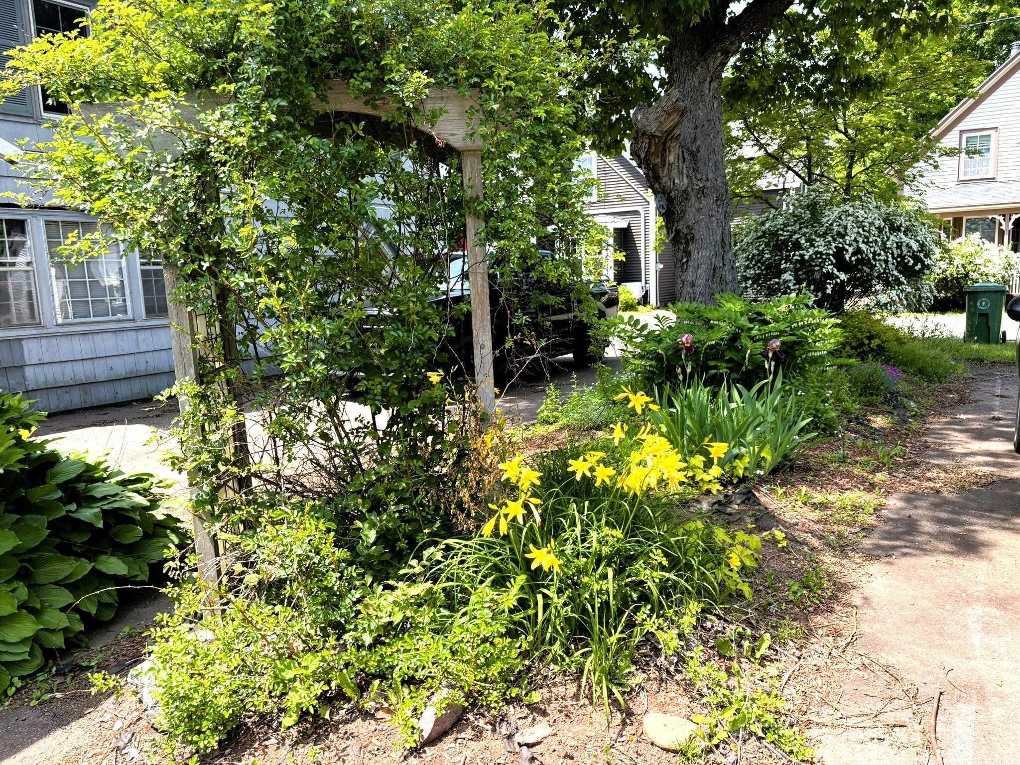 Property Photo: 44 Church Street NS B0M 1S0