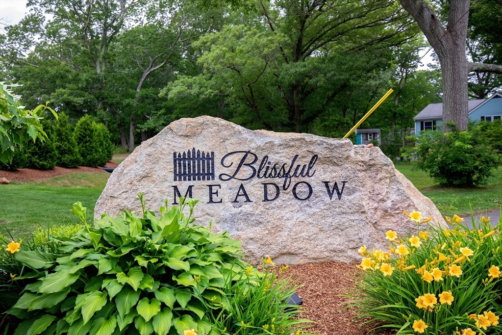 Property Photo: 51 Blissful Meadow Dr. 51 MA 02360