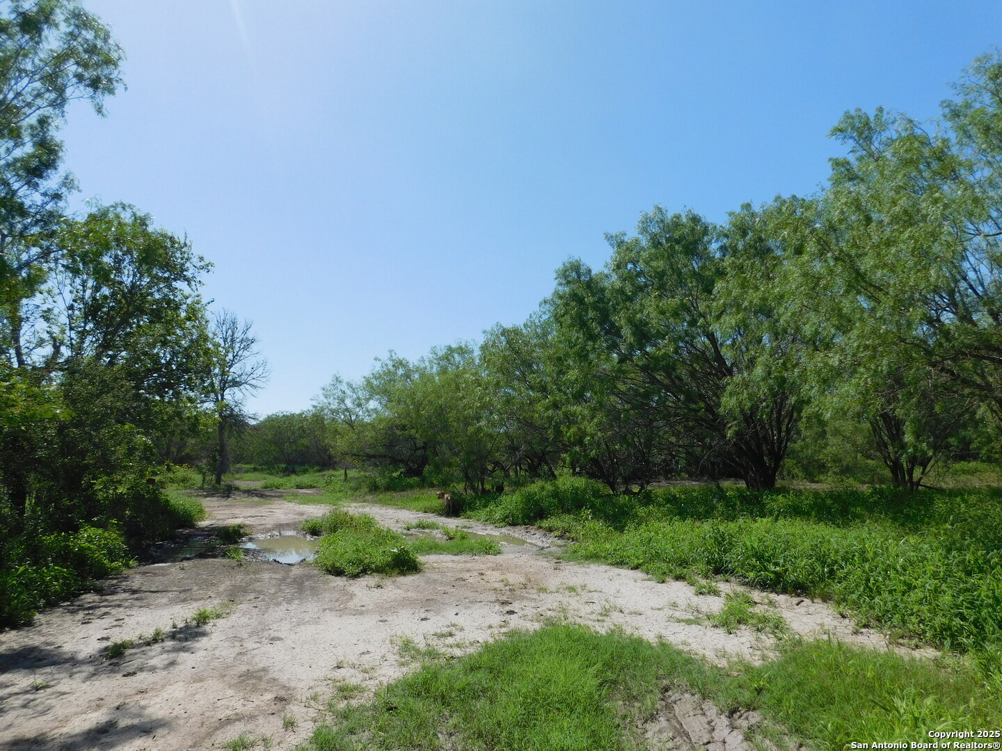 Property Photo: 1590 McCauley Rd TX 78114