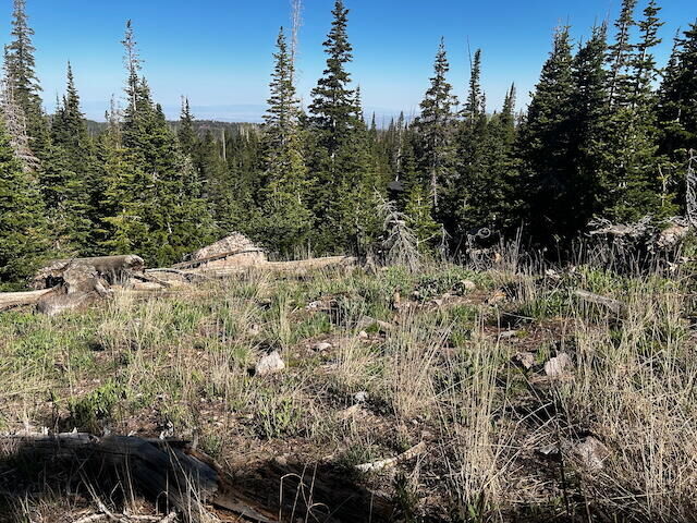 Property Photo: 115 S Olympic Dr UT 84719