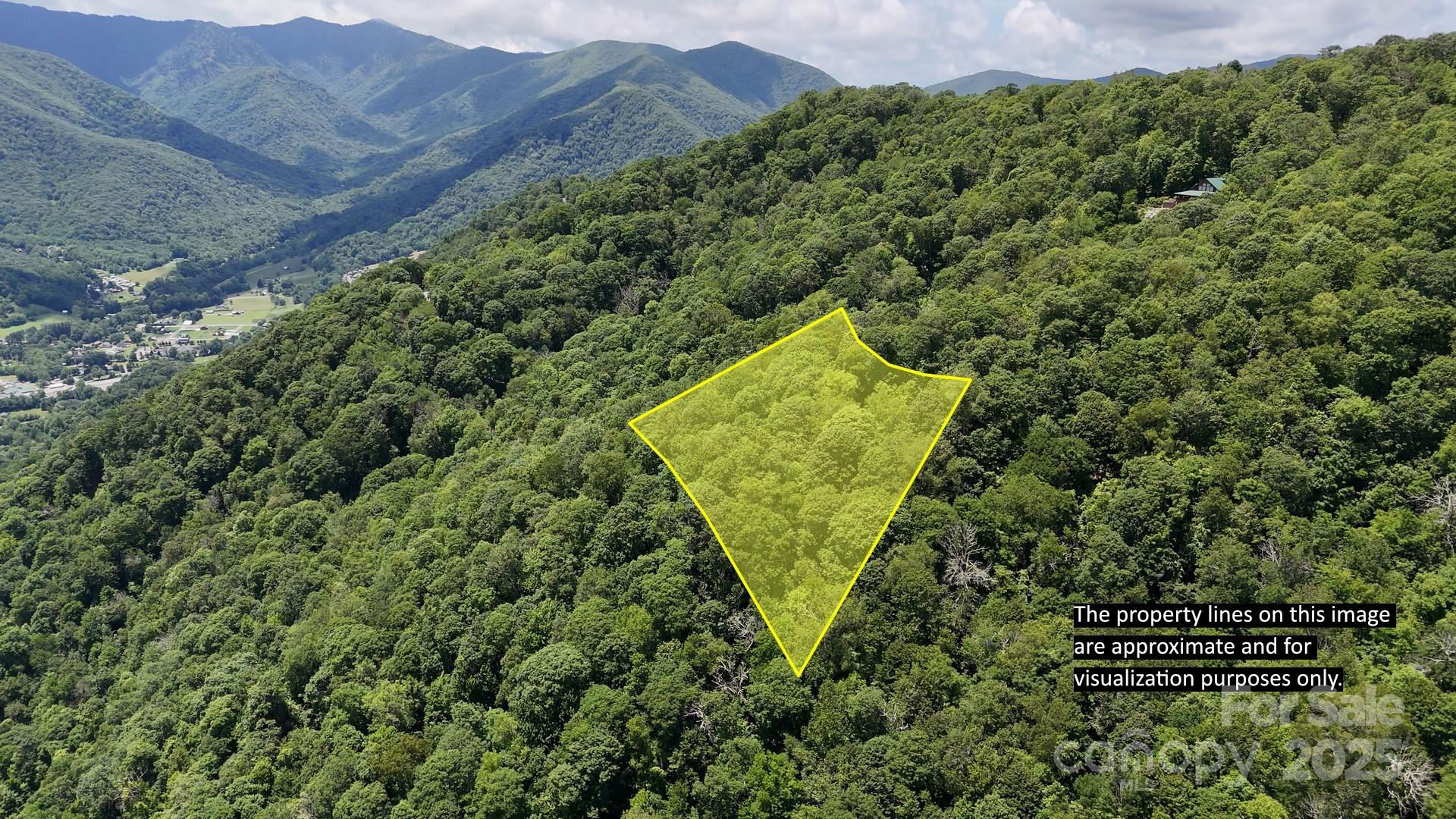 Property Photo: 00 Logging Trail NC 28751