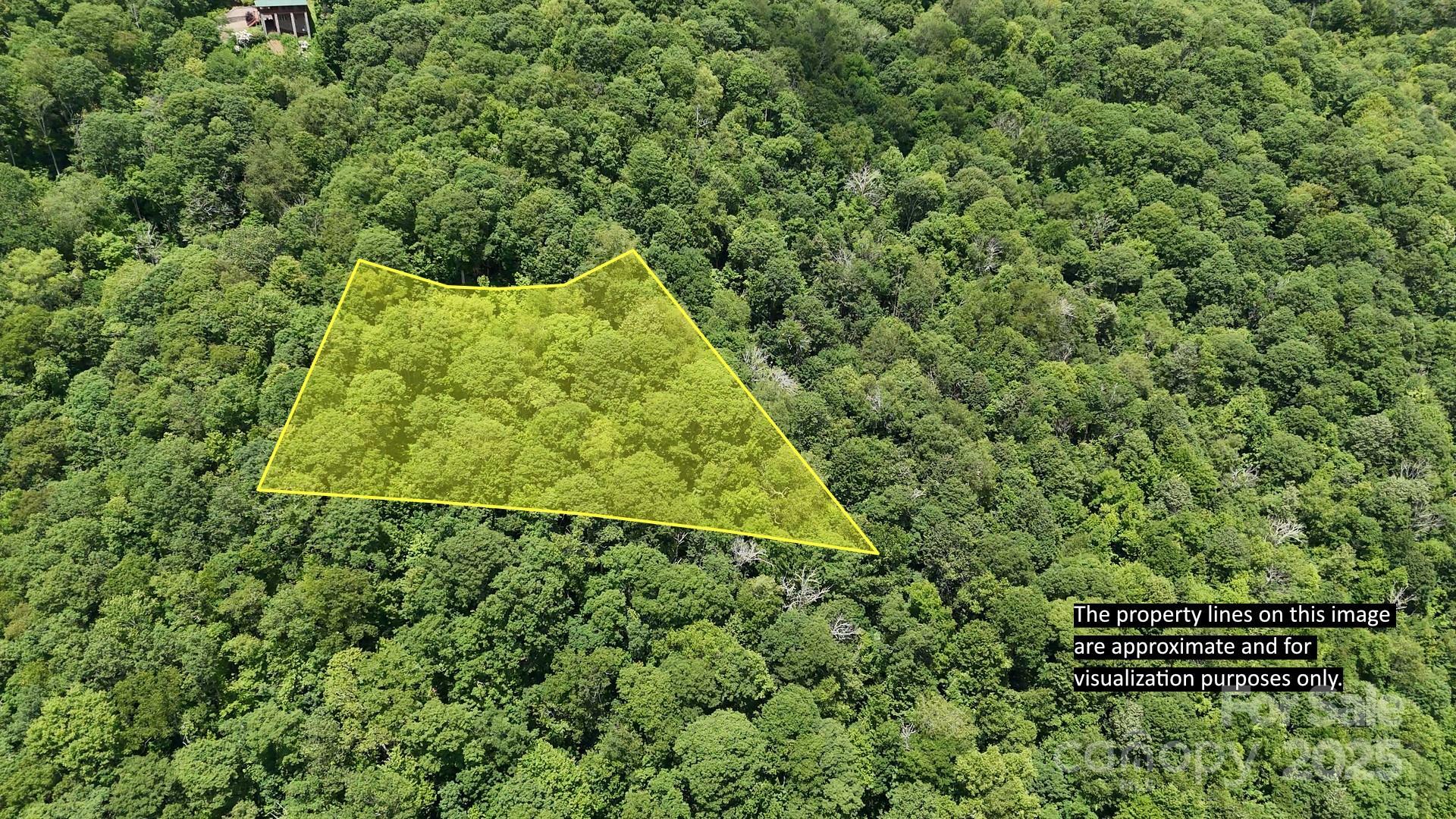 Property Photo: 00 Logging Trail NC 28751