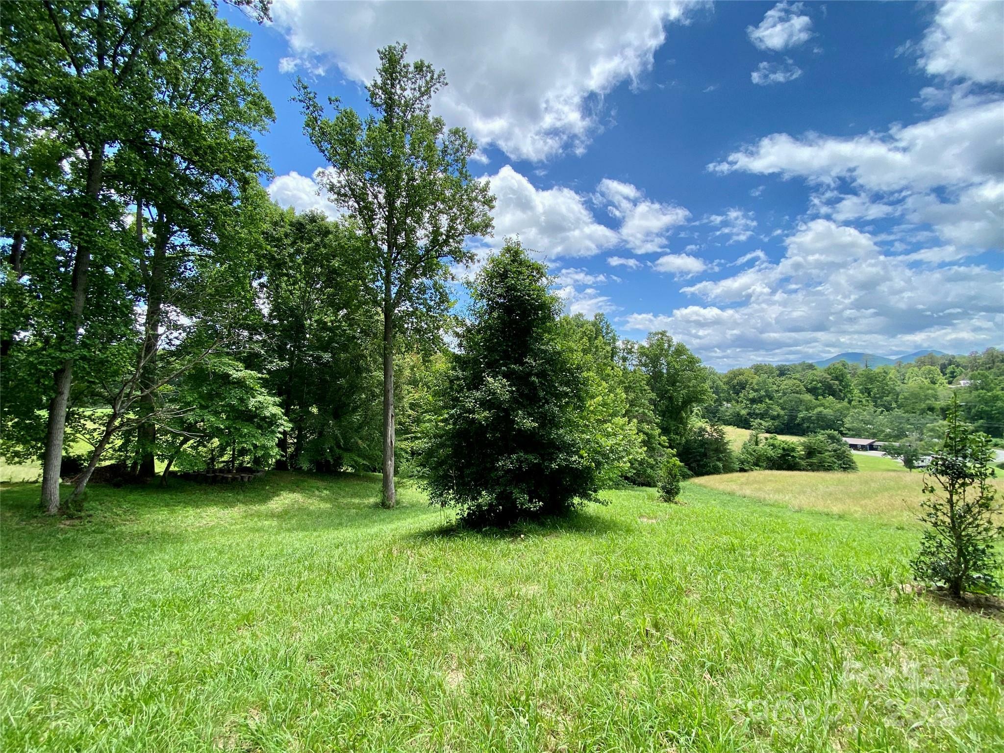 Property Photo: 48 Sweet Fern Parkway Lot 59 NC 28804