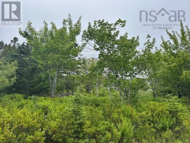 Property Photo:  Lot 7 Bay Street  NS B0E 3B0 
