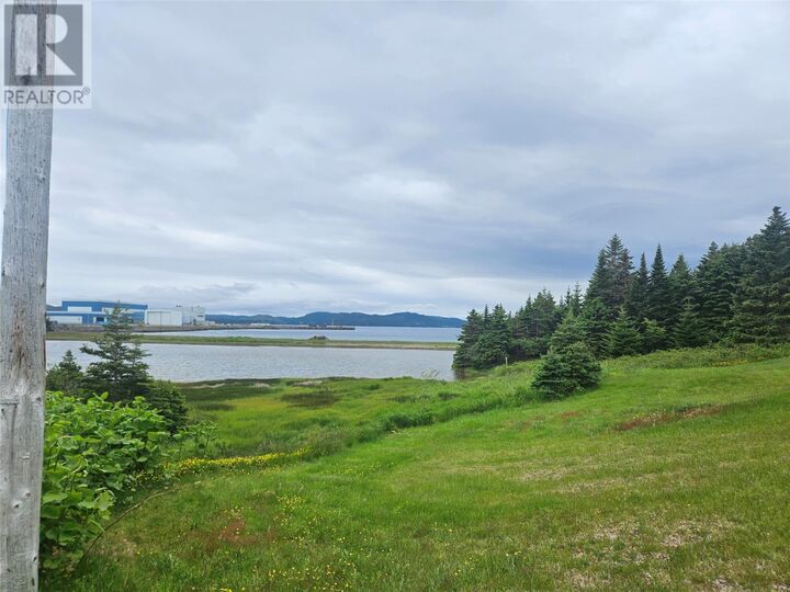 Property Photo:  0 Cashel's Cove South  NL A0E 2M0 
