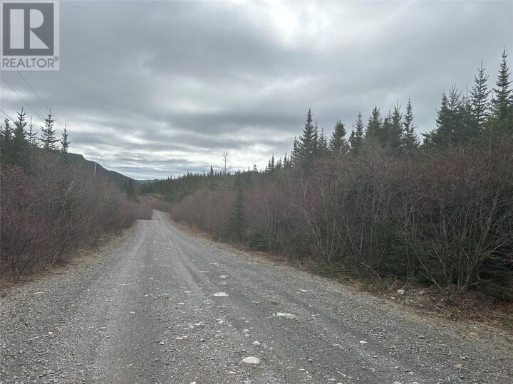 Property Photo:  Lot # 03 Quarry Road  NL A0C 1G0 