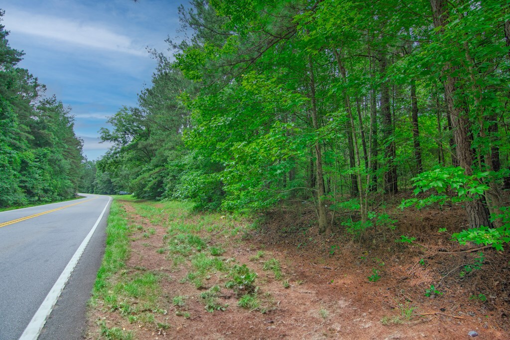 Property Photo:  0 Ga Hwy 0103  GA 31833 