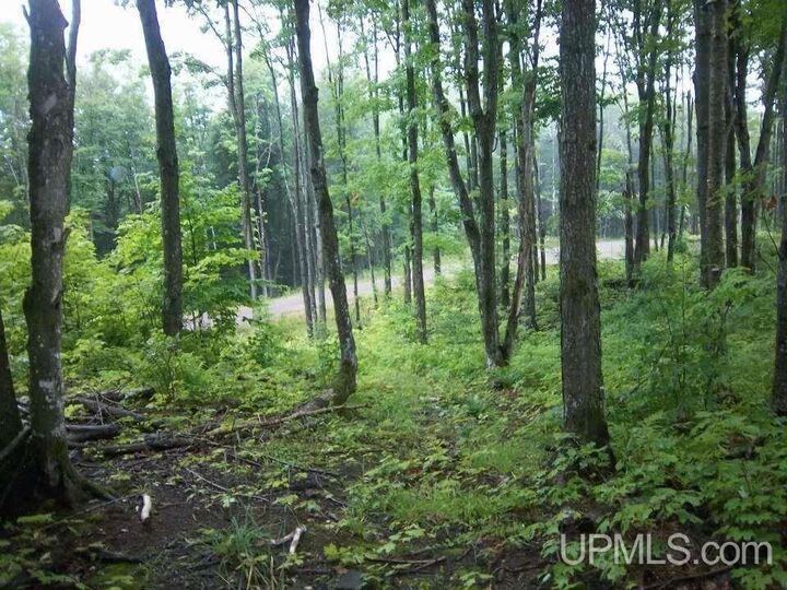 Property Photo:  Off Chaney Shores Road  MI 49911 