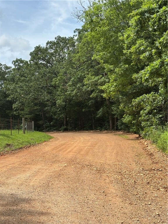 Tbd Cr 507  Berryville AR 72616 photo