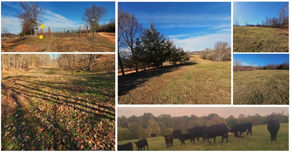Property Photo: 9.69 Acres Low Gap Road MO 64854