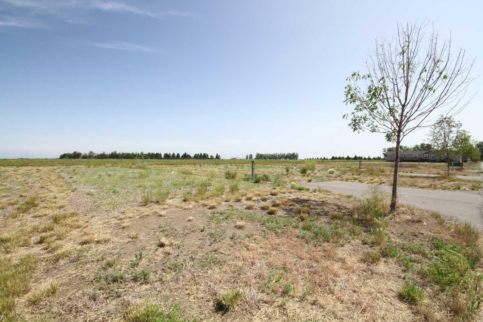 5 Meadows Way  Taber AB T1G 2A2 photo