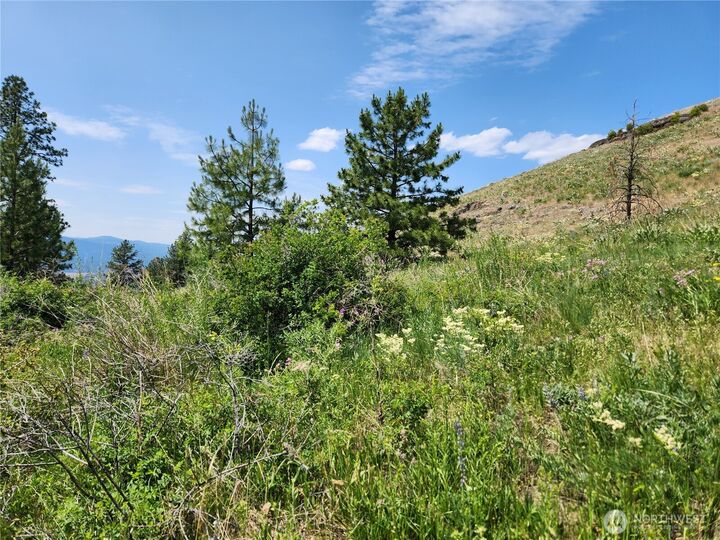 Property Photo: 0 Roundabout Road WA 98859