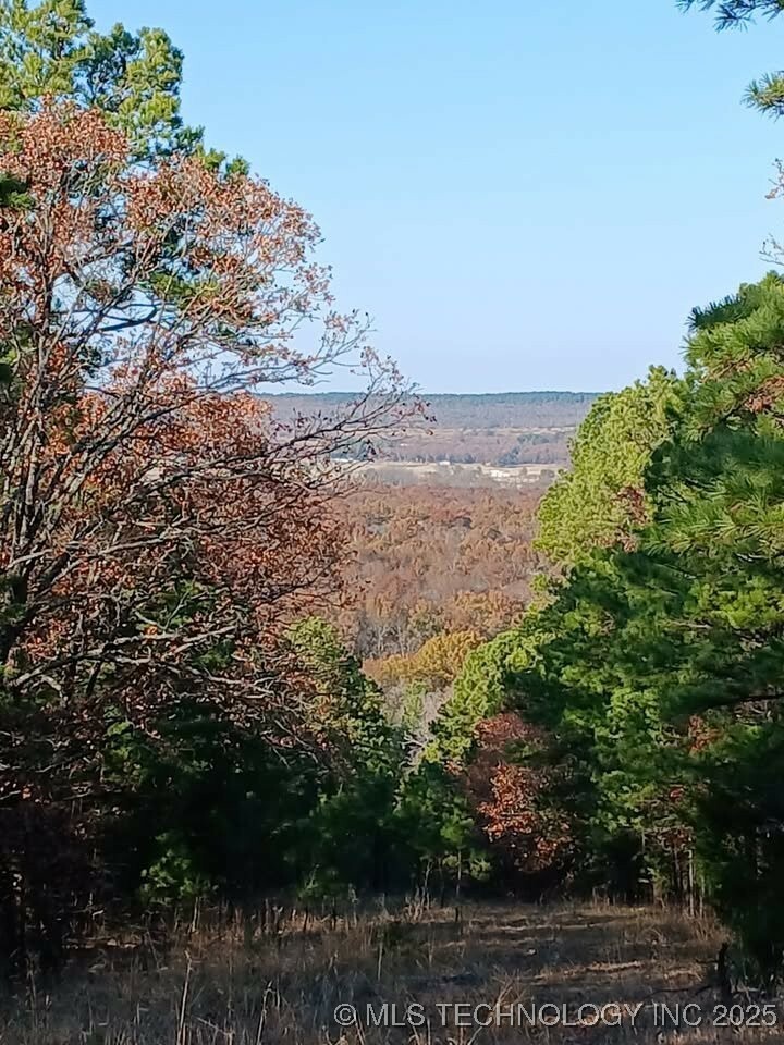 Property Photo: N 4190 Road OK 74578