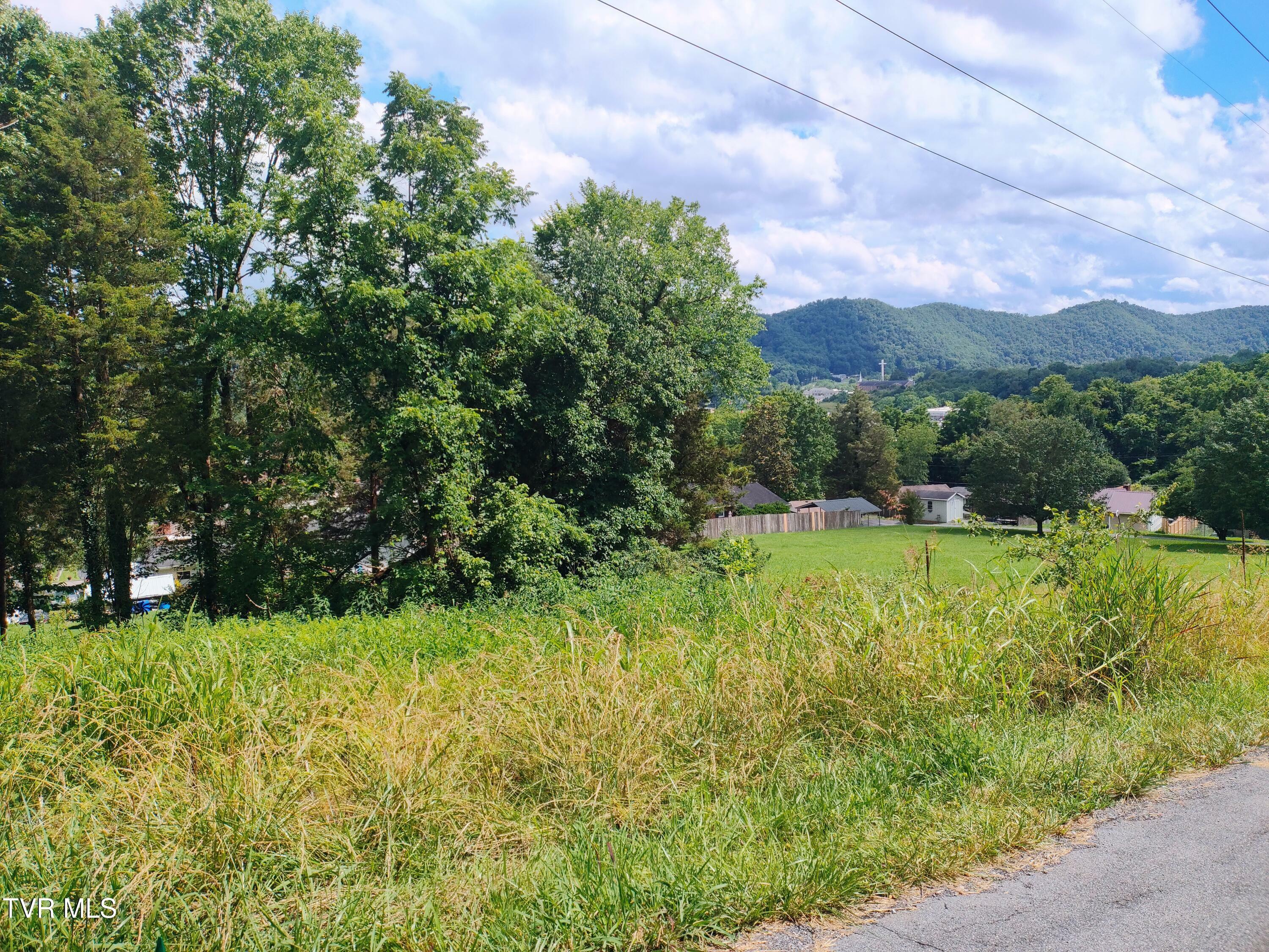 Property Photo: Lot 13 Mountain View Drive TN 37620