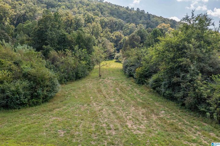 Property Photo:  10.0 Crimson Lake Drive X  AL 35905 