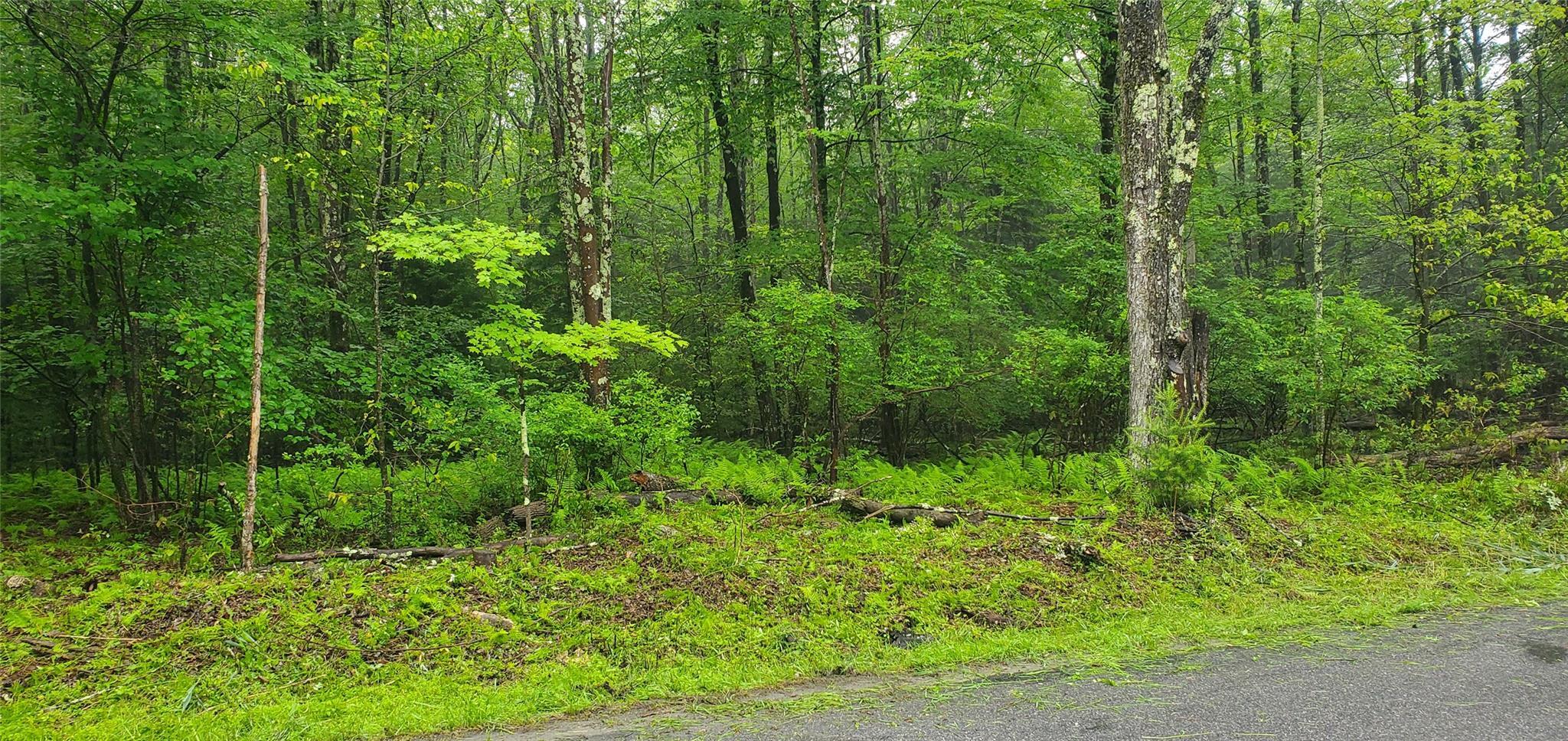 Property Photo: Tr 105 Cypert Road NY 12733