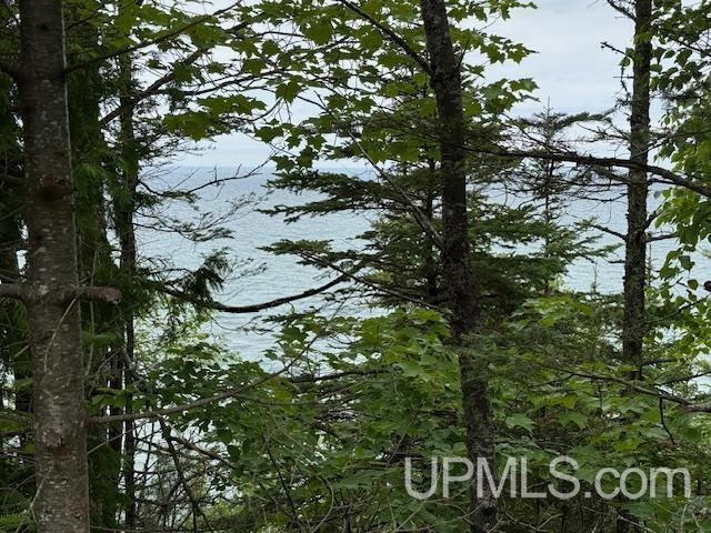 Property Photo:  Tbd Five Mile Pt Road  MI 49950 