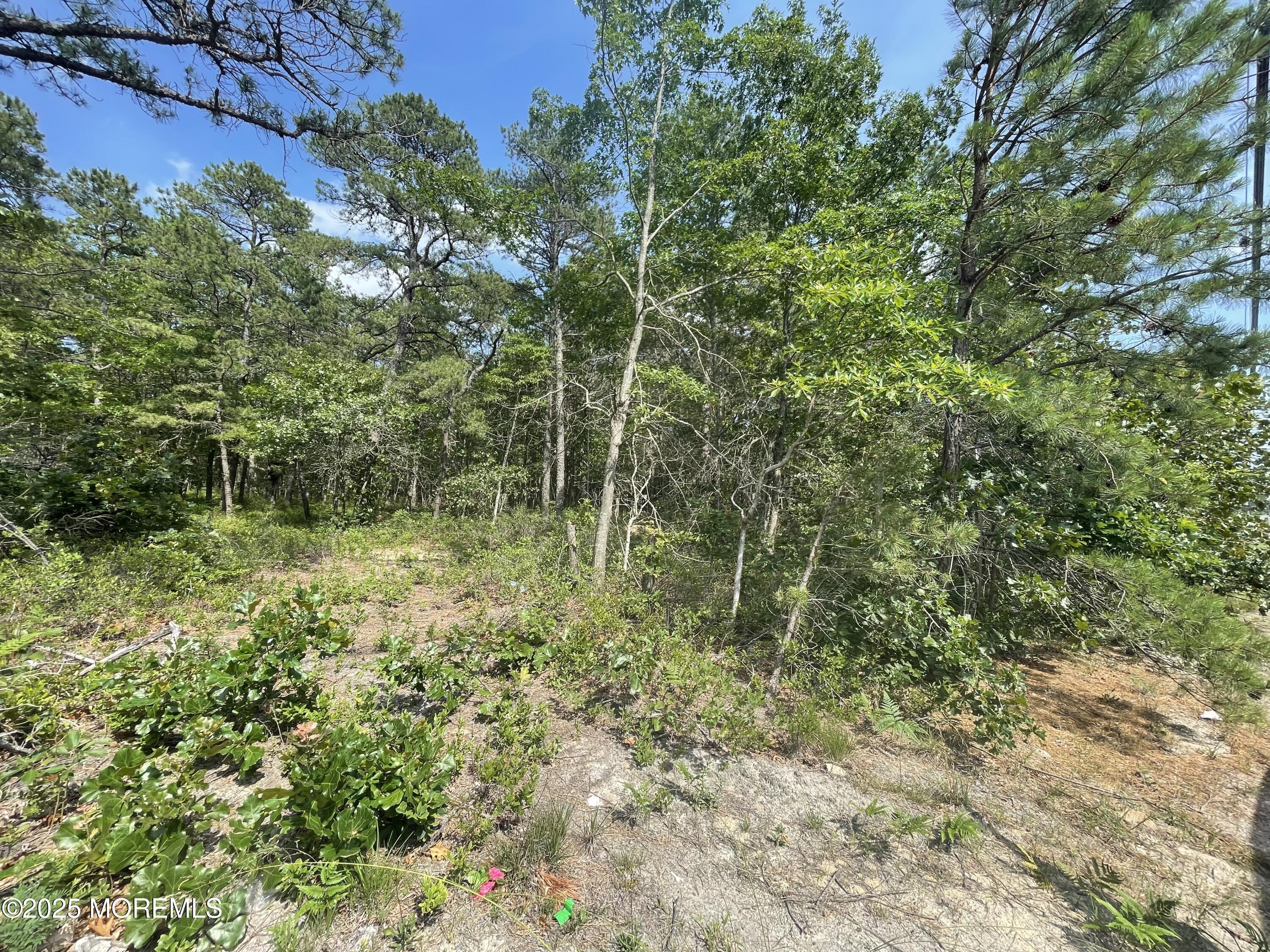Property Photo: 1463 Route 539 NJ 08087