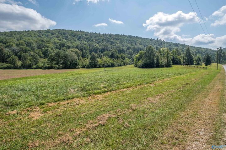 Property Photo:  10.0 Crimson Lake Drive  AL 35905 