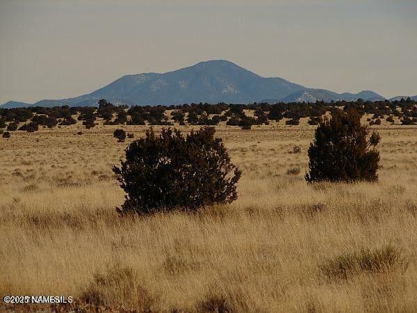 Property Photo:  7420 Mineral Wells Road  AZ 86046 