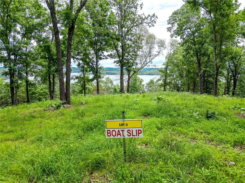 Property Photo: Tract 3 Cedar Rail Ridge Whispering Hills AR 72732