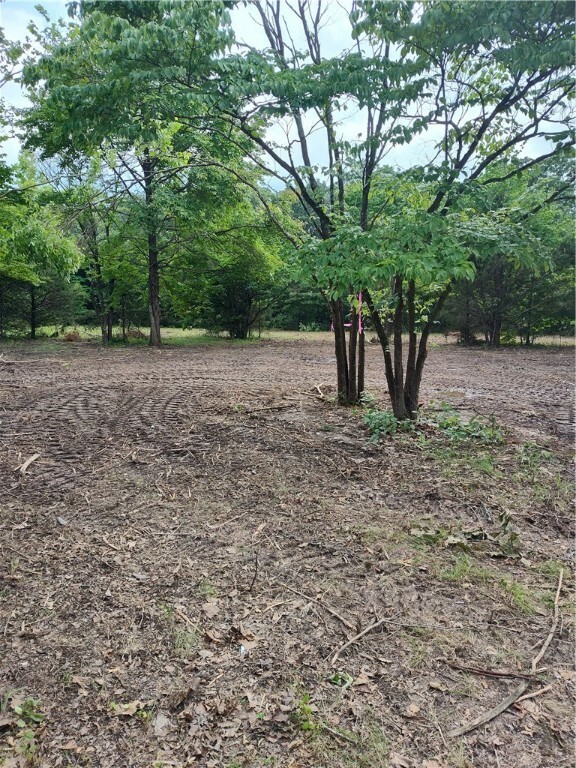 Property Photo: Taylor Barnett Road AR 72732