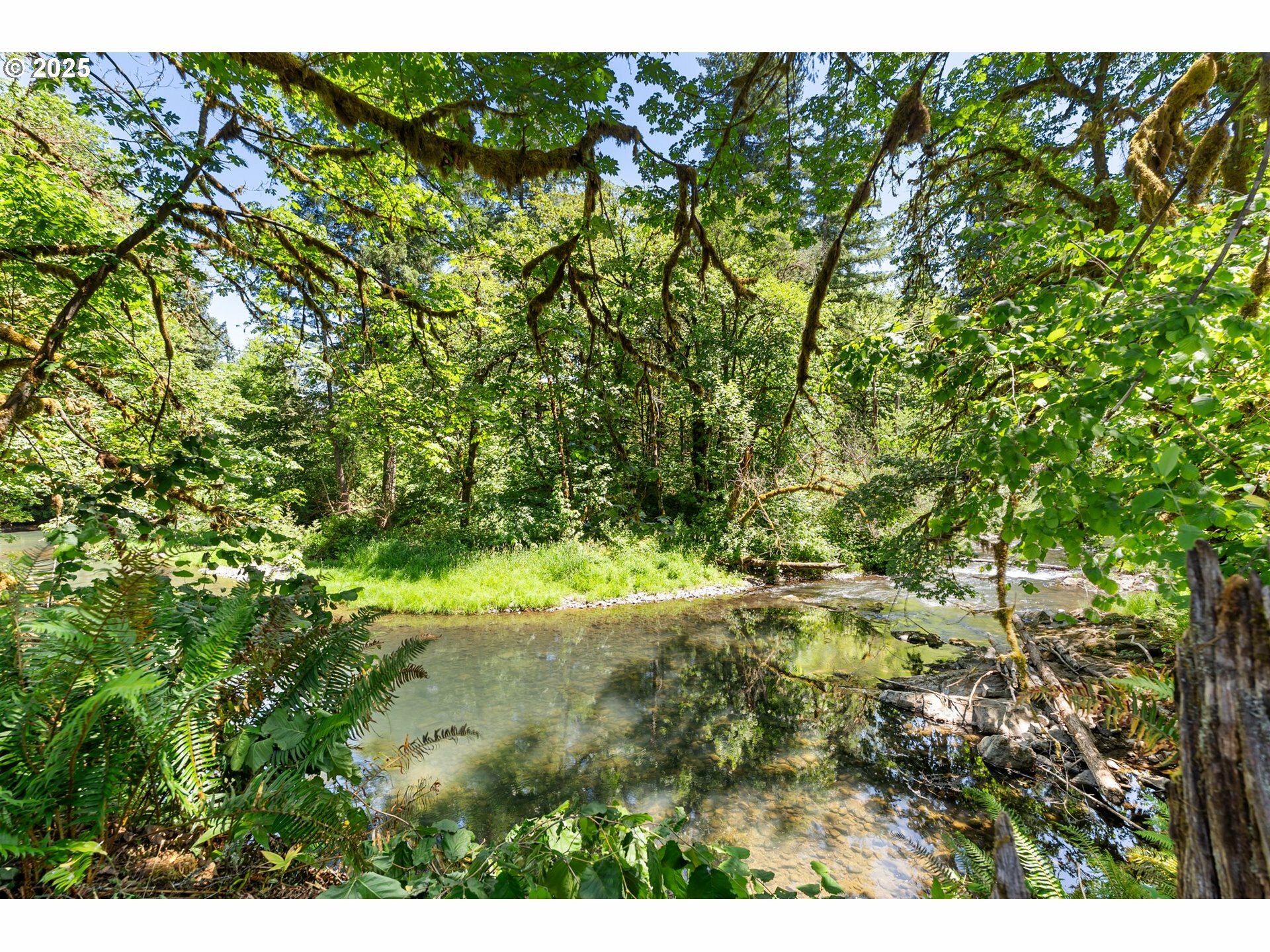 Property Photo: 93933 Marcola Rd OR 97454
