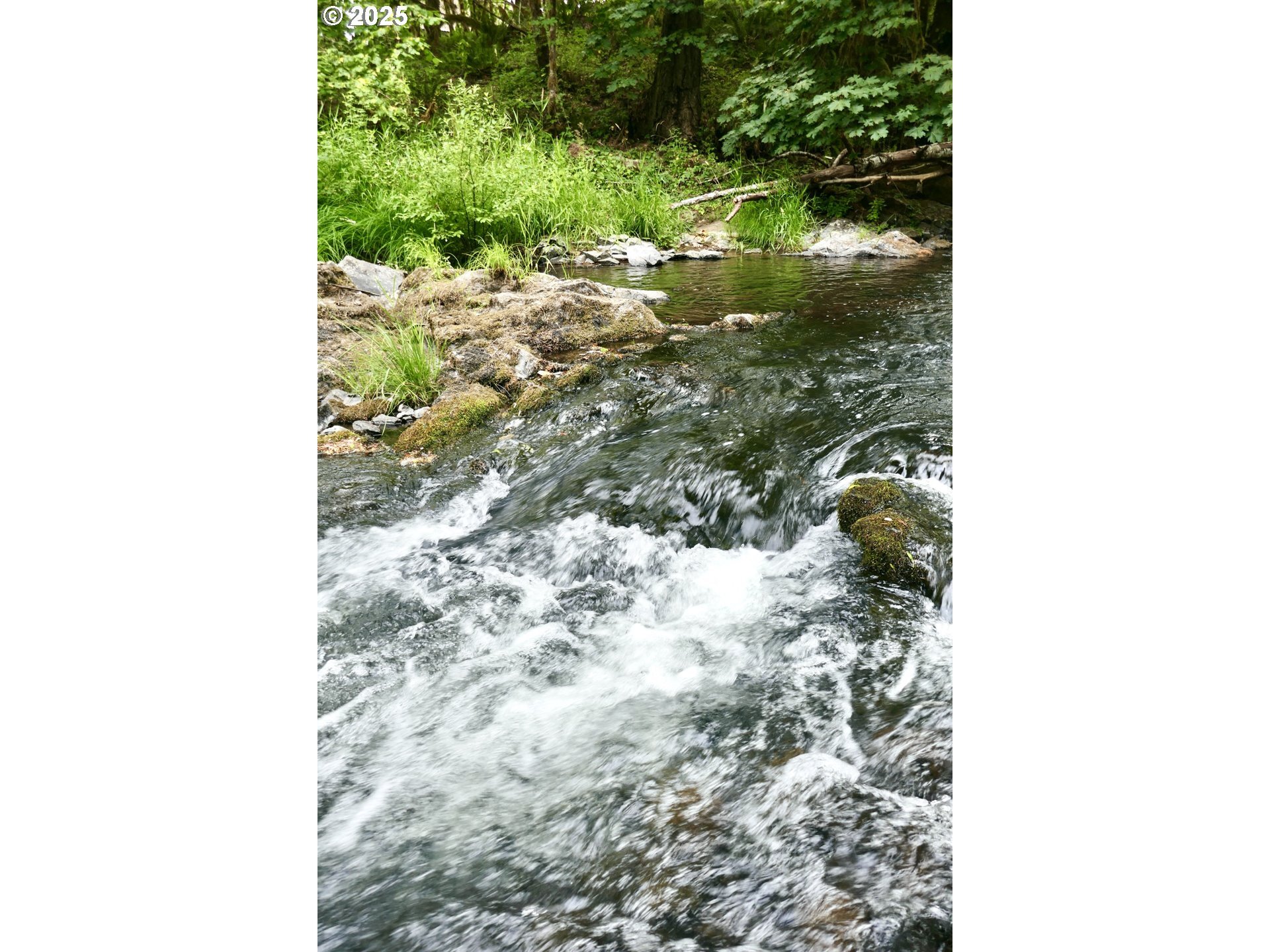 Property Photo: 93933 Marcola Rd OR 97454