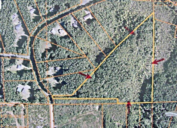 Property Photo: 4 Astoria Lane WA 98520