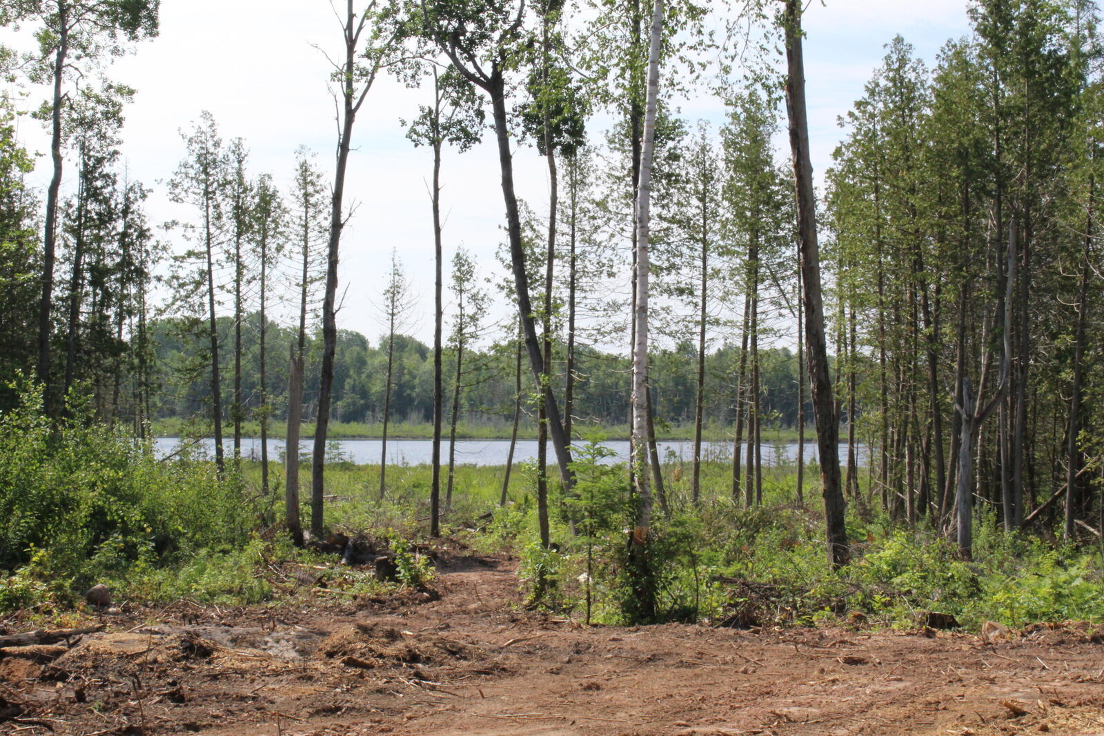 Property Photo:  00 McGahn  MI 49836 