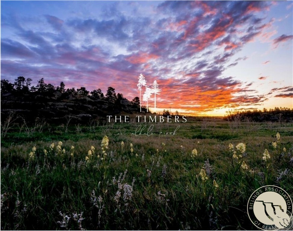 Property Photo: Lot 51 Timbers Boulevard S MT 59105