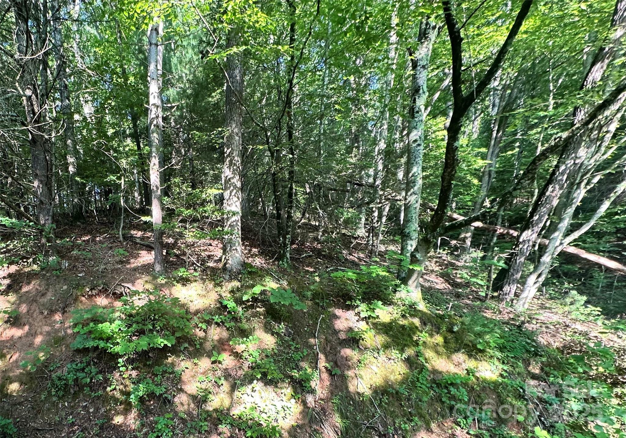 17 Tara Drive  Asheville NC 28806 photo