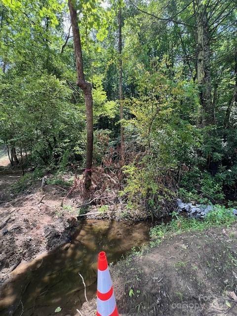 Property Photo: Lots P12-22 &Amp P12-23 Green River Cove Road 22 &Amp 23 NC 28773