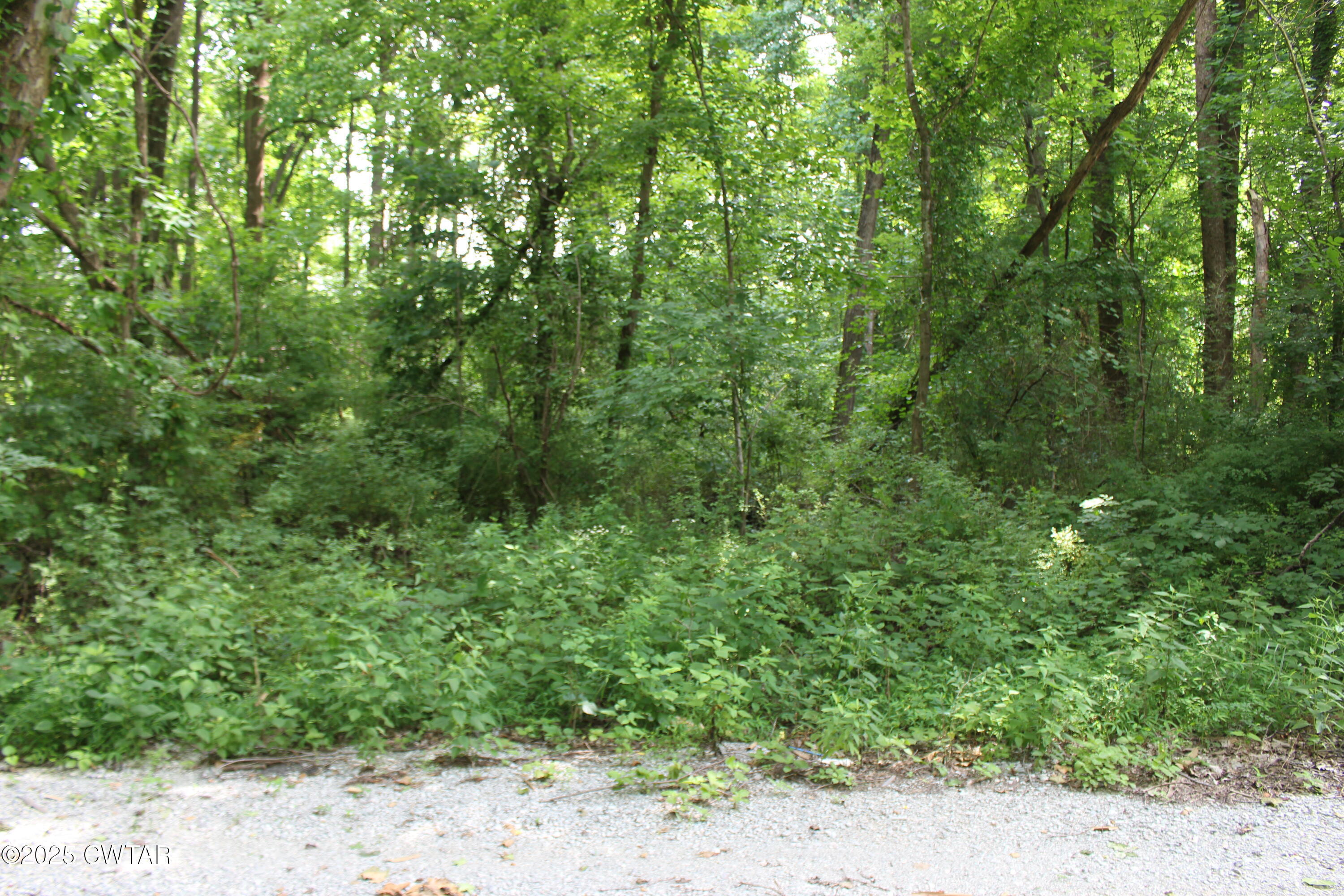 Property Photo: 0 Rushwood Drive TN 38305