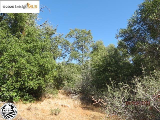 Property Photo: 15941 Crestridge Avenue CA 95370