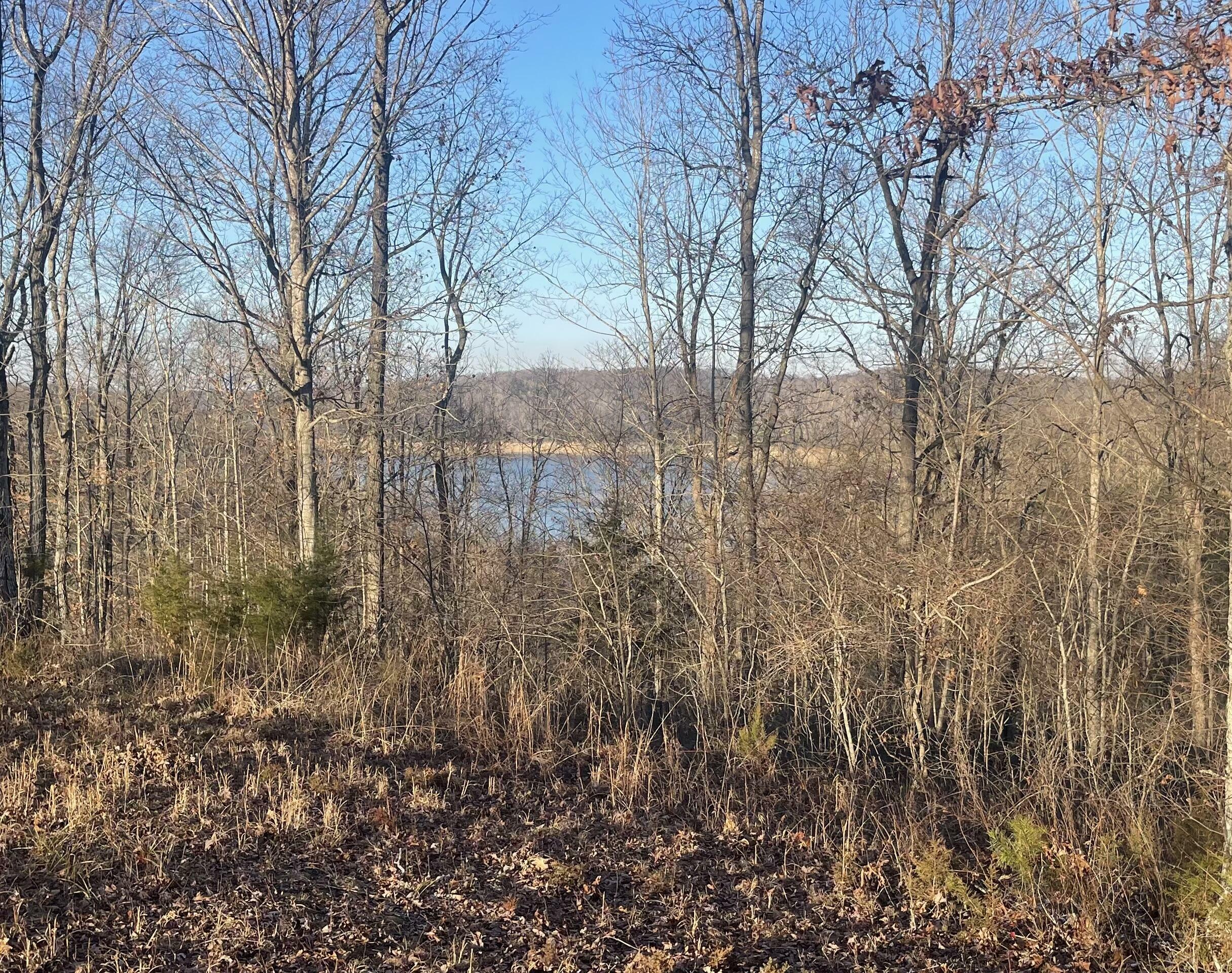 Property Photo: Lot 91 Cumberland Shores KY 42633
