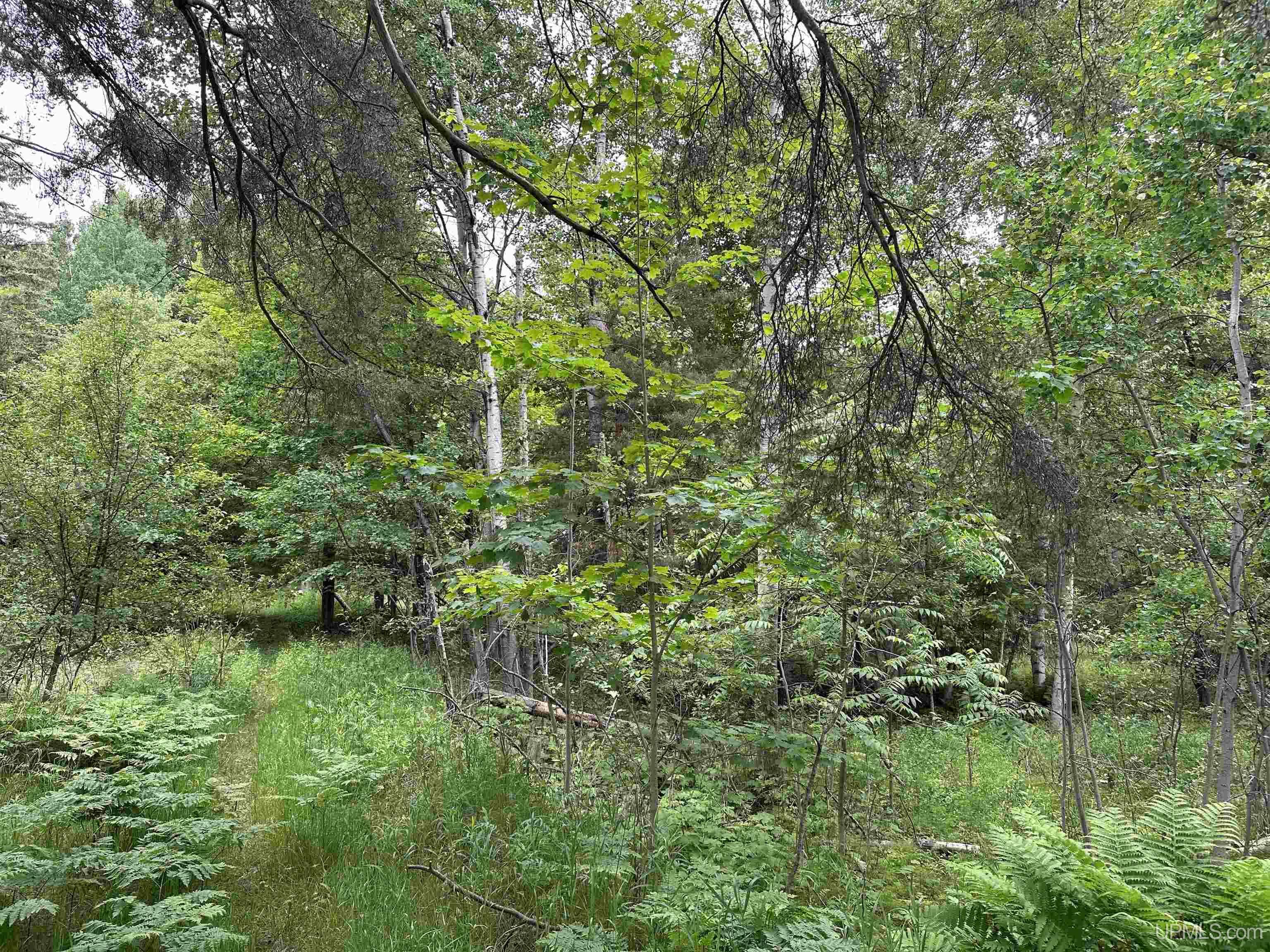 Property Photo:  713 Grove Street  MI 49855 