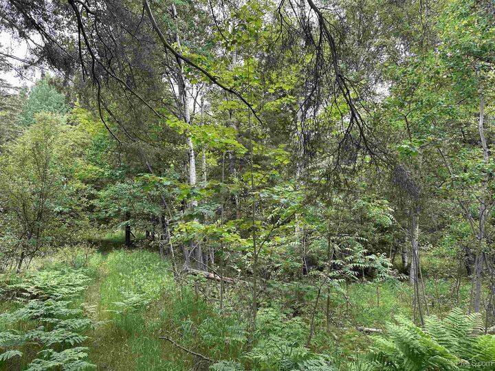 Property Photo: 713 Grove Street MI 49855