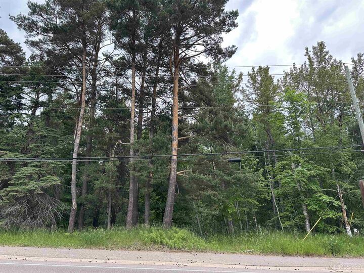 Property Photo: 713 Grove Street MI 49855