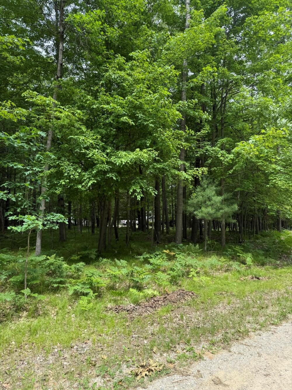 Property Photo: 6823 Beechnut Ridge MI 49346
