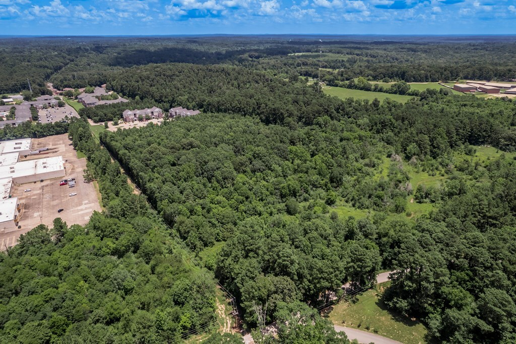 Property Photo:  Tbd Martinsville Rd  TX 75965 