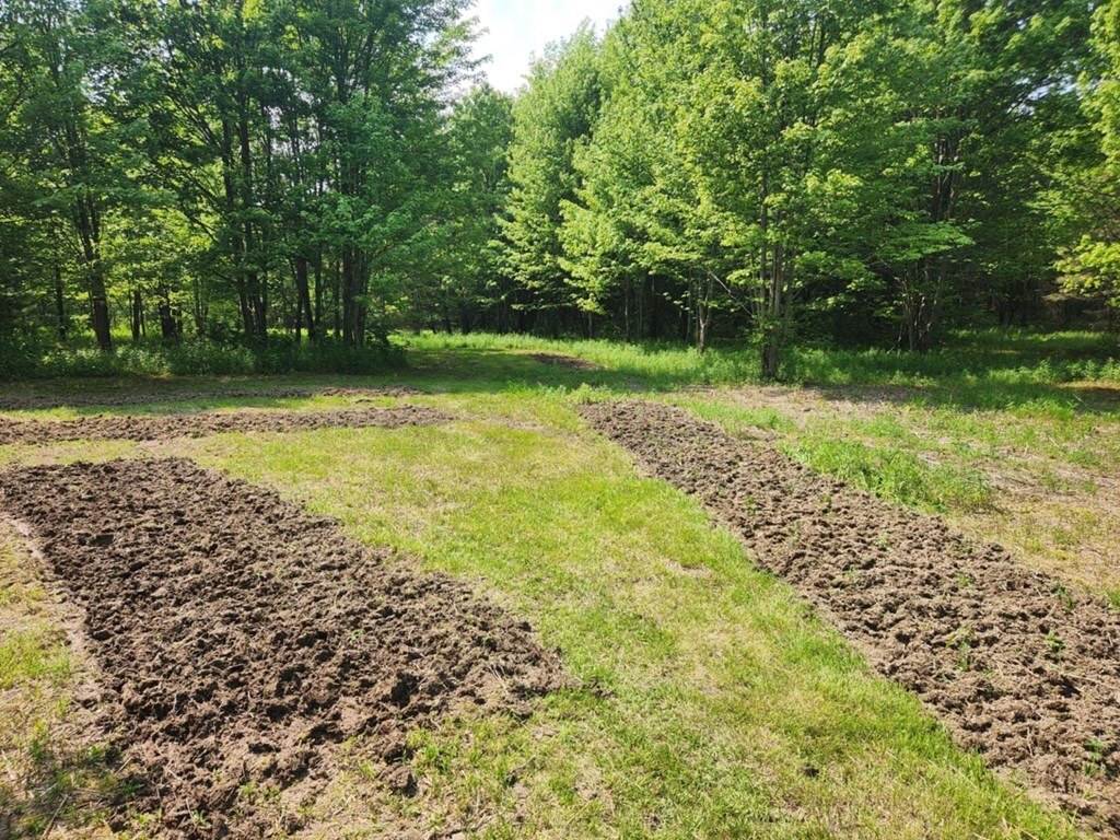 Property Photo: 0 Greenbush Rd NY 14838