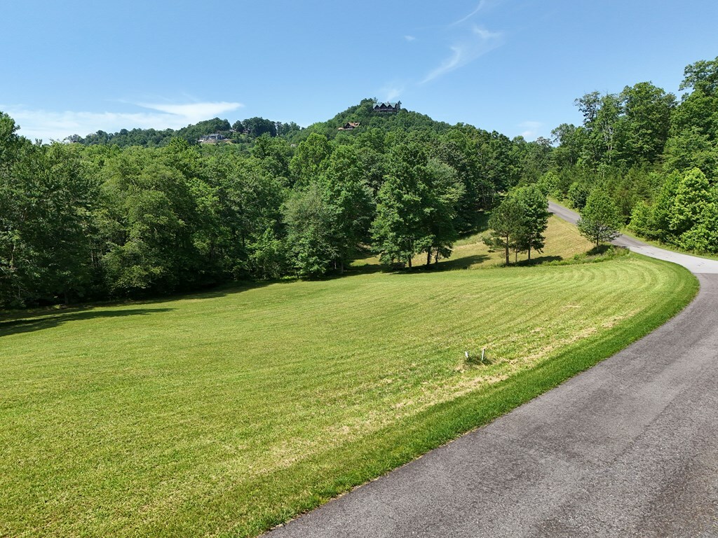 Property Photo: Lot #31 Meadow Brooke GA 30582