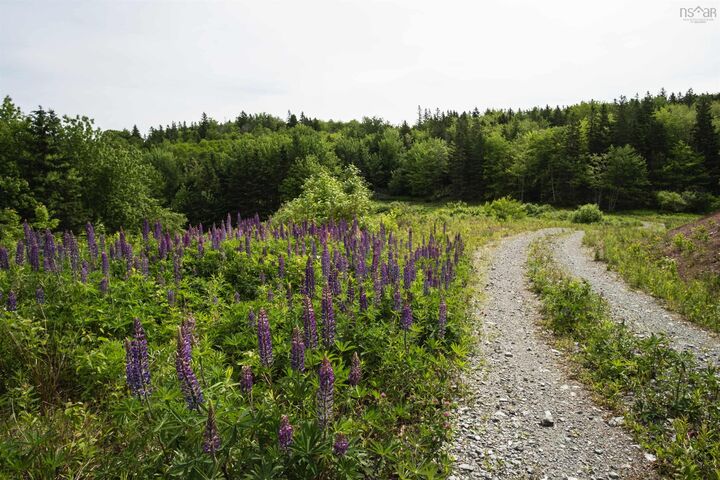 Property Photo:  Highway 19  NS B0E 1N0 