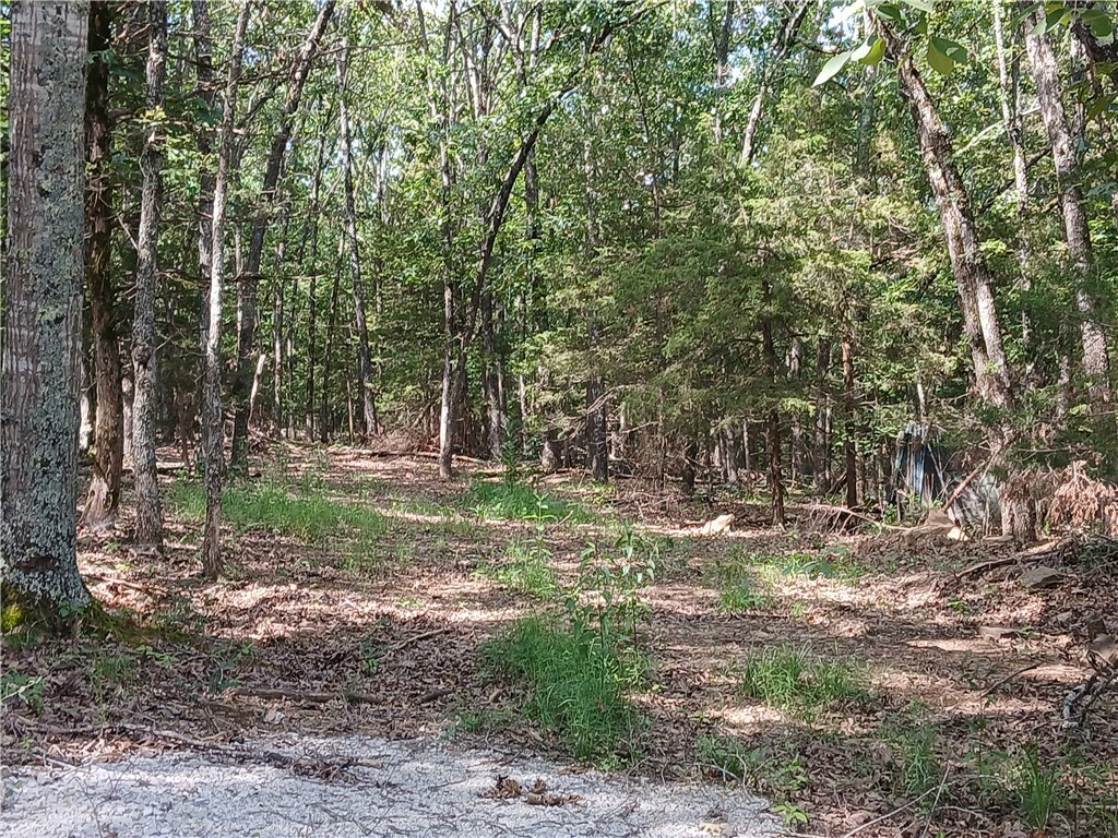 Property Photo: Tbd Madison 2149 Lot #25 AR 72740