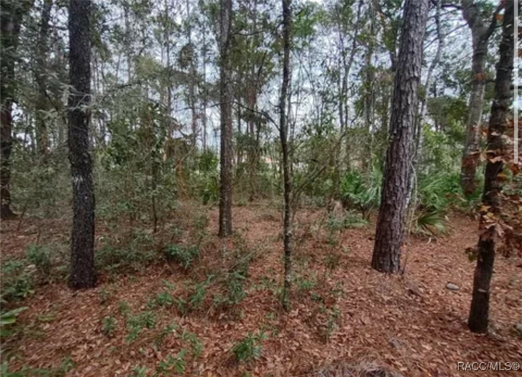 Property Photo:  9785 W Watermelon Lane  FL 34428 
